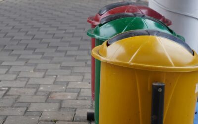 Beyond the Bin: The Ultimate Guide to Recycling Right (Tips to Avoid Contamination and Maximize Impact)